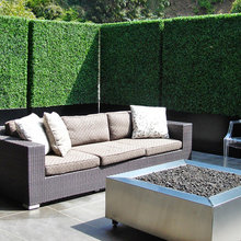 blocking plants