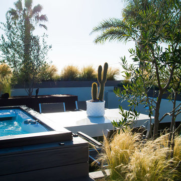 Modern Rooftop Deck