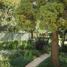 Front Courtyard ideas