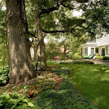 Shade Garden