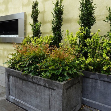 A selection: Mt Victoria, Roseneath, Seatoun, Northland, Lower Hutt, Eastbourne