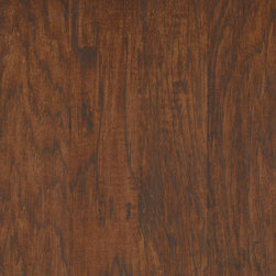 Petrified Hickory- Fossil - Products