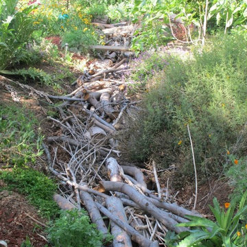 Water harvesting xer