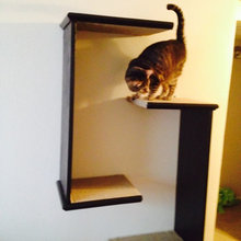 Cat trees