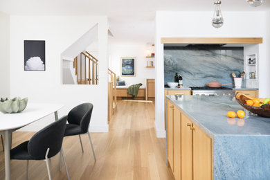 Kitchen - contemporary kitchen idea in Boston