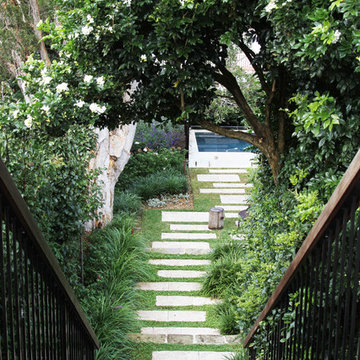 Vaucluse - Pool + Garden