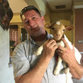 Mr Electric of McKinney's profile photo