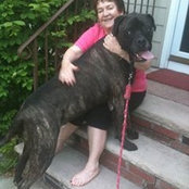 Judith Sweeney's photo