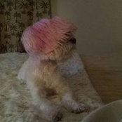 Tammy Craven's photo