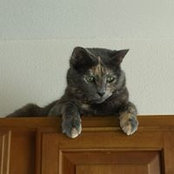 Larry Sweeney's photo