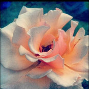 Jessica Martinez's photo