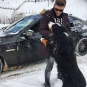 Dragancea Ionut's photo