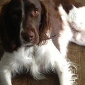 Samson Wherry's photo