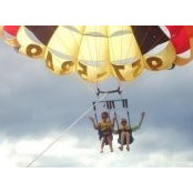 Michael Wade's photo