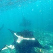 Michael Renga's photo