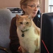 Nancy Strickland's photo