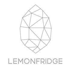 LemonFridge Studio