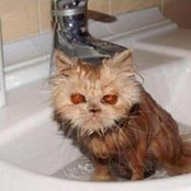 Nicole Alessandra's photo