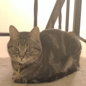 Christina Mandrell's photo
