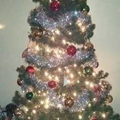 Missy Glidden's photo