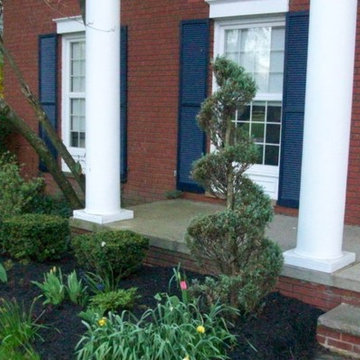 Shaheen spring clean-up