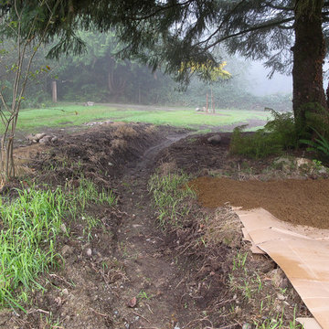 Stream bank