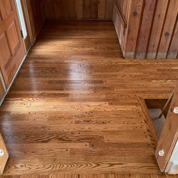 Sand and Finished_Strip Red Oak with Early American Stain and Walnut plugs