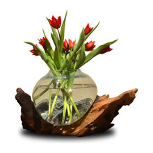 cibele_zuazu's ideas