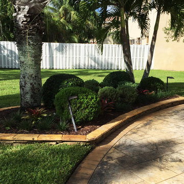 Alberto Lizarazo’s Garden