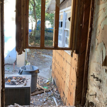 Termite Damage Is at it Again
