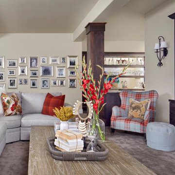 Timnath Family Home Media Room