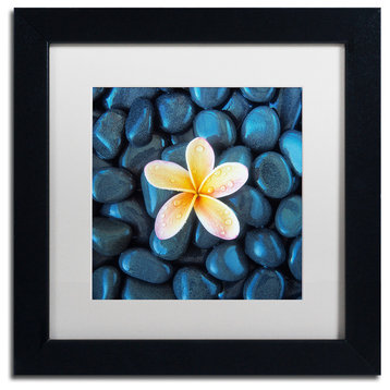 'Plumeria & Pebbles 2' Matted Framed Canvas Art by David Evans