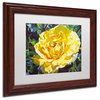 David Lloyd Glover 'Golden Rain' Framed Art, Wood Frame, 11"x14", White Matte
