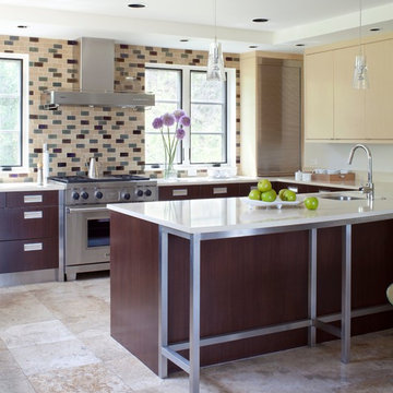 Aspen Mountain Modern