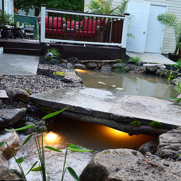 Ecosystem pond