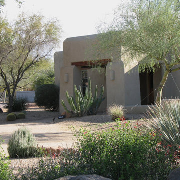 Native Desert Scape