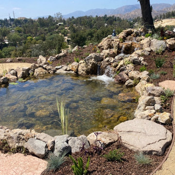 Sunland Recreation Pond & Landscape