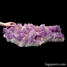 Crystal Garden