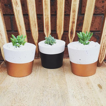Concrete Pot Plants