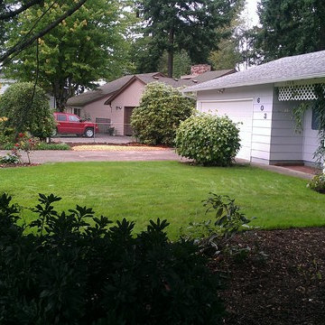 LANDSCAPE MAKEOVER: JUNGLE TO PARADISE