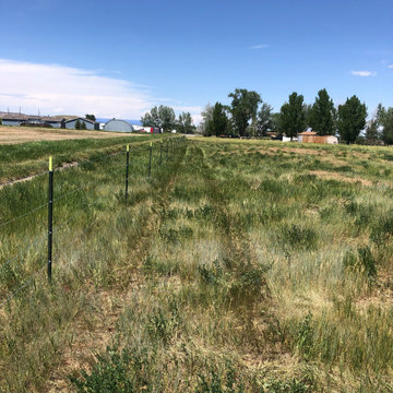 Laurel Horse Corral