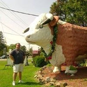 Dave DeNormand's photo