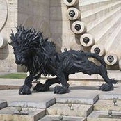 Beslan Alleroy's photo