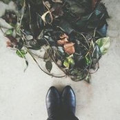 Julie Cavallio's photo