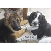 Jill Nicoson's photo