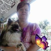 Tammy Kinzer's photo