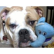 Jodi Mcewen's photo