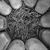 Sarah Hazelbaker's photo