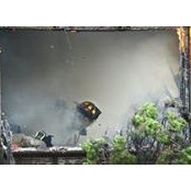 Ross Batchelor's photo