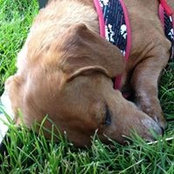 Marylou Sill's photo